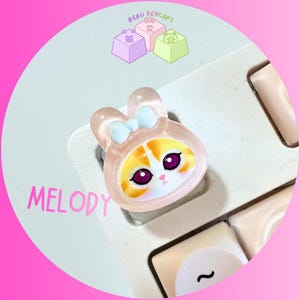 Pode incluir: Uma tecla transparente em forma de coelho com um la&ccedil;o azul claro e um design de rosto de gato. O gato tem pelo laranja e branco, olhos roxos e um nariz rosa. A palavra "MELODY" est&aacute; escrita em rosa. A tecla est&aacute; em um teclado.