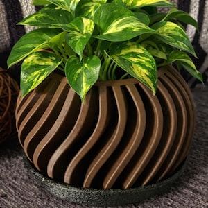 May include: A brown, spherical planter with a unique, wave-like design, holding a vibrant green plant with yellow variegation. The planter sits on a dark, textured base, creating a stylish home decor item.