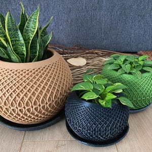 May include: Three decorative planters with plants. The largest is tan with a woven design, holding a snake plant. A green and a black planter, also with woven designs, hold smaller plants. All sit on black saucers.