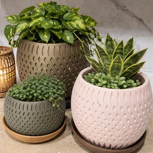 May include: Three decorative planters with plants. The largest is brown, the middle one is gray, and the smallest is pink. Each planter has a diamond pattern and sits on a matching saucer. The plants have green and yellow leaves.