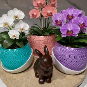 3D Printed Orchid Planter Pot with Drainage & Saucer, Modern Design