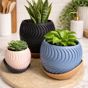 May include: Three decorative planters with plants. The largest is black, the medium is blue, and the smallest is pink. Each planter has a textured, swirling design. The plants include a snake plant and two other leafy green plants. The planters sit on a round, light-colored stone.