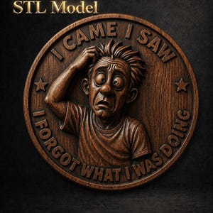 May include: A circular wooden wall plaque featuring a carved relief of a confused person scratching their head. The text "I CAME I SAW I FORGOT WHAT I WAS DOING" is engraved around the border, accompanied by two stars. The top left reads "STL Model".