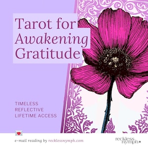Puede incluir: Una obra de arte digital con el texto "Tarot para despertar la gratitud" sobre un fondo lavanda. Una gran flor magenta detallada está a la derecha. El texto adicional incluye "Atemporal, Reflexivo, Acceso de por vida". La lectura por correo electrónico es de recklessnymph.com.