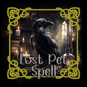 Puede incluir: Ilustración digital de un cuervo negro en un ambiente oscuro, con velas y una ventana. El texto "Lost Pet Spell" se muestra en letras blancas, enmarcado en oro.