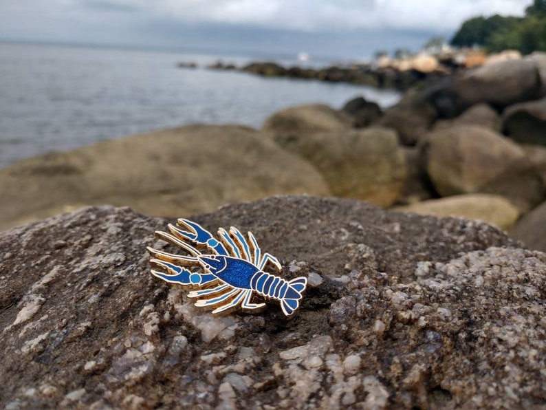 Blue Crayfish Lobster Enamel Pin image 6