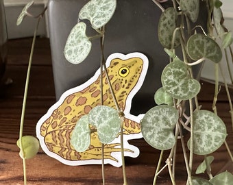 Frog Friend Die-Cut Animal Sticker