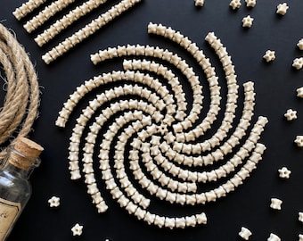 Real Snake Vertebrae Bone Beads | Natural Loose Spine Bones for Jewelry Making | Osteology Specimen | Taxidermy Craft Supply Oddities Decor