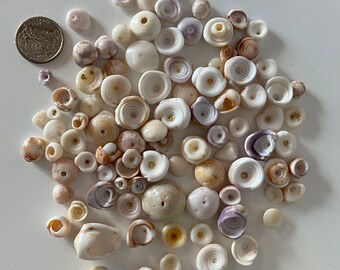 Hawaiian Puka Shells