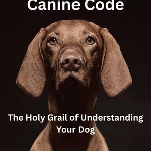 Breaking The Canine Code - The Holy Grail to Understanding Your Dog