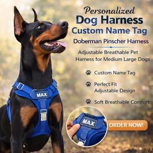 Arnés personalizado para perros, placa de identificación personalizada, chaleco transpirable antitirones para mascotas.