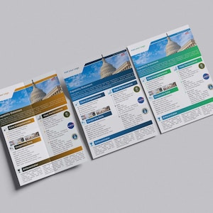 Canva Editable Capability Statement Template | Federal Contracting, Company Profile (Instant Download)