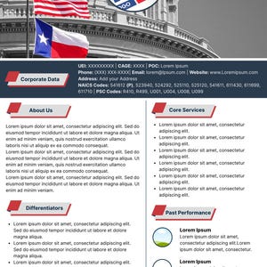 May include: A business document with a logo, contact information, and sections titled 'About Us', 'Core Services', 'Differentiators', and 'Past Performance'. The image includes the American and Texas flags.