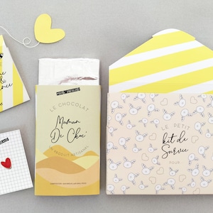 Kit de survie future maman ou papa, cadeau grossesse, bébé en route, cadeau future maman, cadeau futur papa, félicitation maman