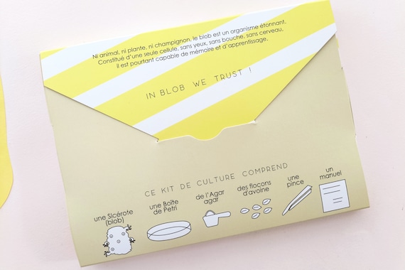 Kit Blob et matériel de culture l'essentiel - Jeulin