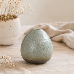 Peut inclure: Un petit vase en forme d'œuf avec une surface texturée vert clair et une base marron foncé. Le vase en céramique est exposé sur une surface en bois clair, avec un tissu de couleur neutre et un deuxième vase en arrière-plan. Des fleurs séchées sont également présentes.