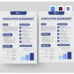 May include: Two-page executive summary document with blue and white design. The document includes sections on overview, goals, key findings, target audience, and advertising. The text includes the company name and strategic objectives.