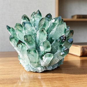 May include: A cluster of translucent green quartz crystals with sharp, pointed terminations. The mineral formation features deep emerald hues transitioning to lighter, frosted white edges at the base and along the crystalline structures.