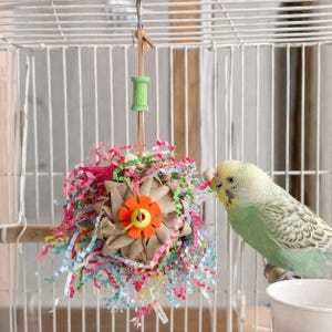 Pu&ograve; includere: Un colorato giocattolo per uccelli appeso all'interno di una gabbia bianca. Il giocattolo presenta un elemento centrale intrecciato con un fiore arancione, circondato da carta sminuzzata rosa, blu e gialla. Una bobina di legno verde e marrone &egrave; in cima. Un parrocchetto verde chiaro &egrave; appollaiato vicino.