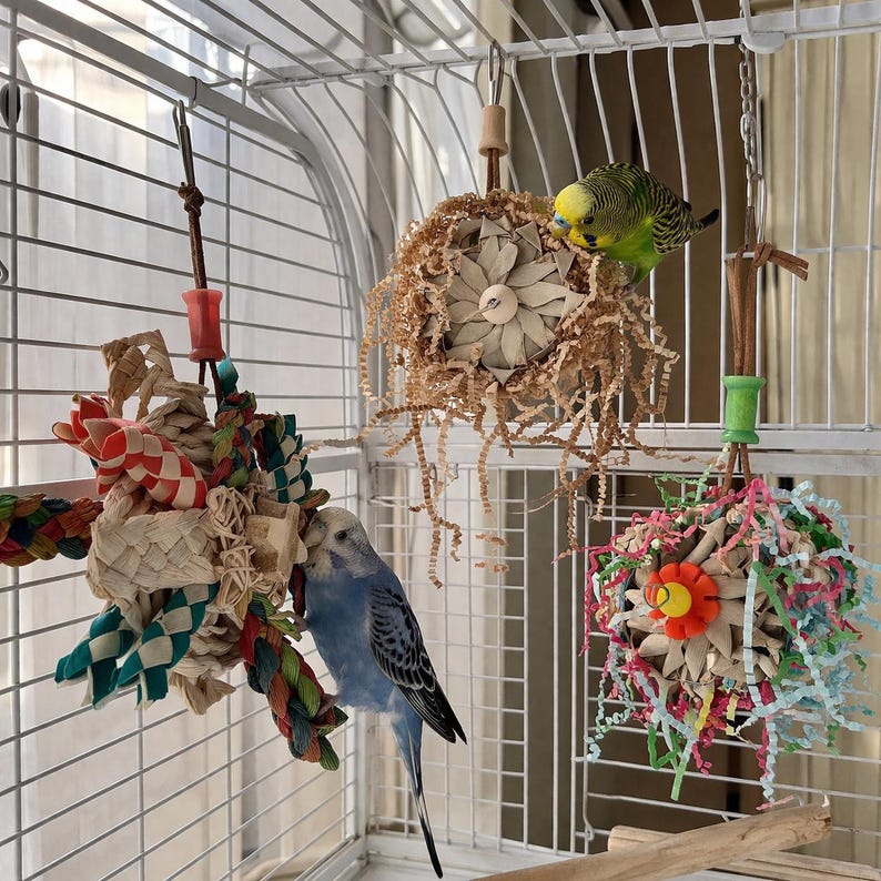 Pu&ograve; includere: Una gabbia per uccelli con tre giocattoli colorati e due parrocchetti. Un parrocchetto &egrave; blu e l'altro &egrave; verde e giallo. I giocattoli sono fatti di carta, legno e corda.