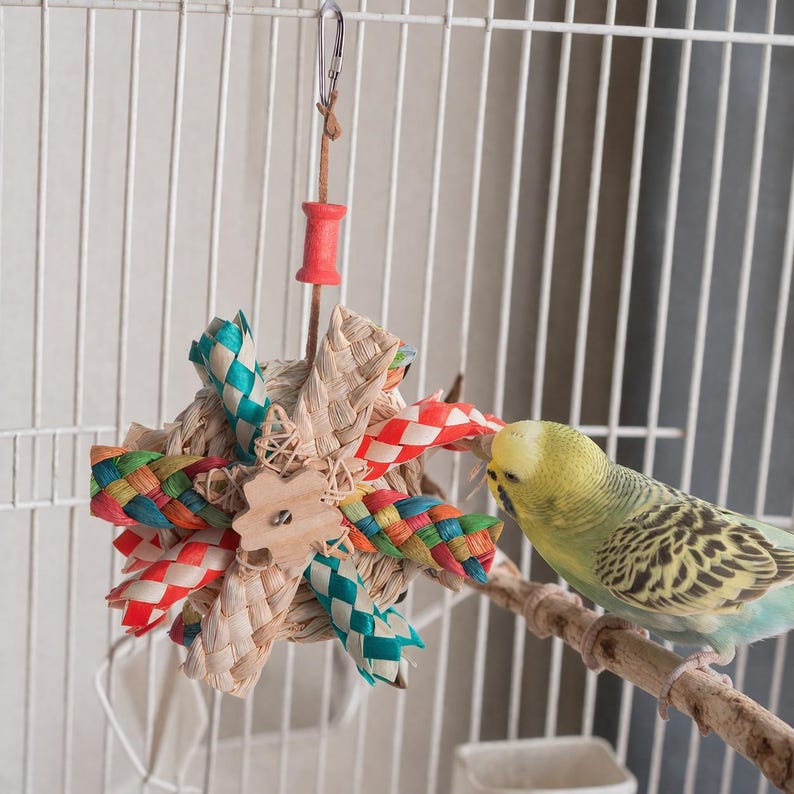 Pu&ograve; includere: Un colorato giocattolo per uccelli per pappagalli, sospeso in una gabbia. Il giocattolo presenta paglia intrecciata e nastri colorati in rosso, blu, verde e giallo. Un piccolo uccello &egrave; appollaiato su un ramo vicino.