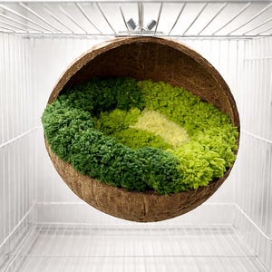 May include: A hanging pet bed made from a halved coconut shell. The interior is filled with a soft, textured material in shades of green. The bed is suspended within a wire cage, offering a cozy space for small animals.