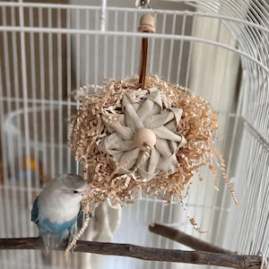 Pu&ograve; includere: Una gabbia per uccelli con un uccello blu e bianco posato su un ramo di legno. Un giocattolo sospeso per uccelli fatto di carta sminuzzata e fibre naturali intrecciate &egrave; nella gabbia. L'uccello interagisce con il giocattolo.