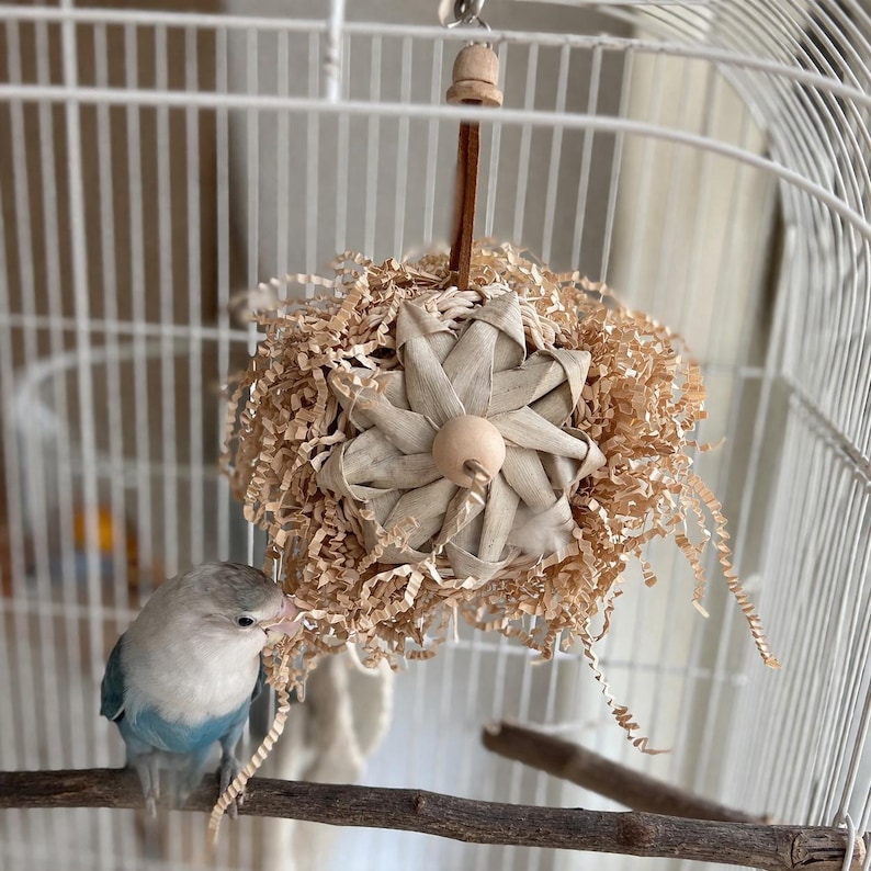 Pu&ograve; includere: Una gabbia per uccelli con un uccello blu e bianco posato su un ramo di legno. Un giocattolo sospeso per uccelli fatto di carta sminuzzata e fibre naturali intrecciate &egrave; nella gabbia. L'uccello interagisce con il giocattolo.