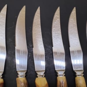 以下が含まれることがあります： 鋸歯状の刃と質感のある金属製の刃を持つ、銀色のステーキナイフ6本セット。各ナイフは、有機的な質感を持つ明るい茶色のハンドルと、刃とハンドルを接続する金属製のボルスターを備えています。