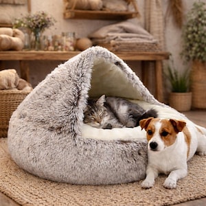 Pode incluir: Uma cama aconchegante para animais de estimação, em cinza neutro, com design de capuz. Um gato cinza tigrado dormindo descansa dentro da cama, enquanto um cão Jack Russell Terrier está deitado perto em um tapete bege. Ambiente interior acolhedor.