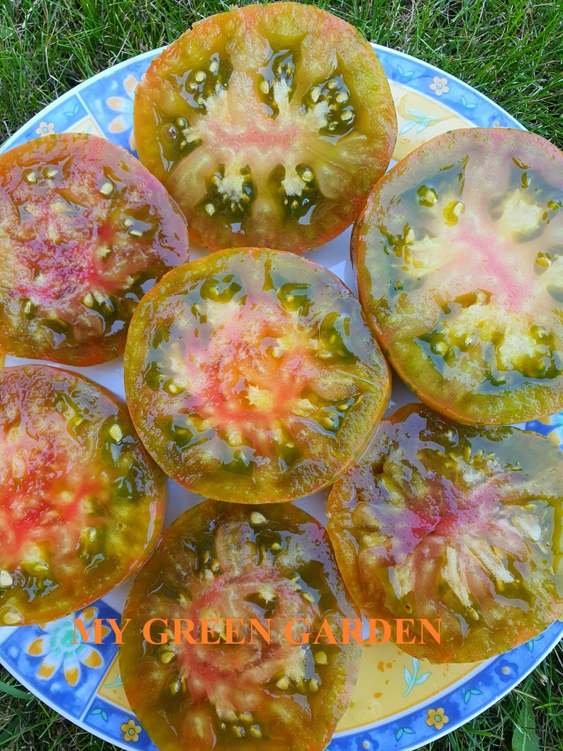 Indeterminate bio 10 ANANAS ZEBRA Tomato Organic Seeds \u2013 Ananas Zebra \u0410\u043d\u0430\u043d\u0430\u0441 \u0437\u0435\u0431\u0440\u0430 Organic Heirloom Tomato Seeds Non GMO