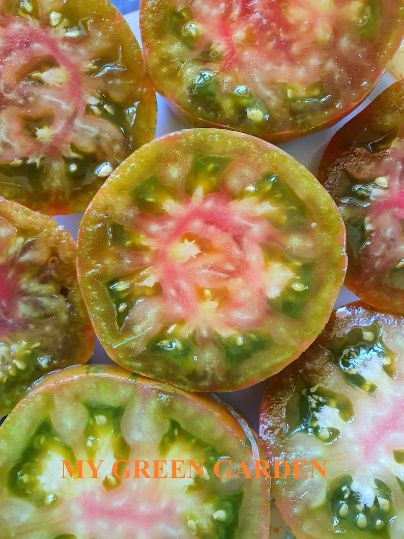 Indeterminate bio 10 ANANAS ZEBRA Tomato Organic Seeds \u2013 Ananas Zebra \u0410\u043d\u0430\u043d\u0430\u0441 \u0437\u0435\u0431\u0440\u0430 Organic Heirloom Tomato Seeds Non GMO