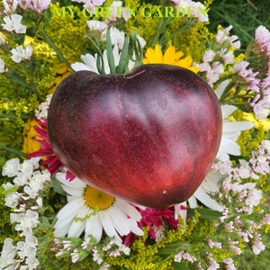 May include: A heart-shaped, dark red tomato with a deep purple hue, surrounded by a bouquet of white, pink and yellow flowers. The text "MY GREEN GARDEN" is visible in the background.