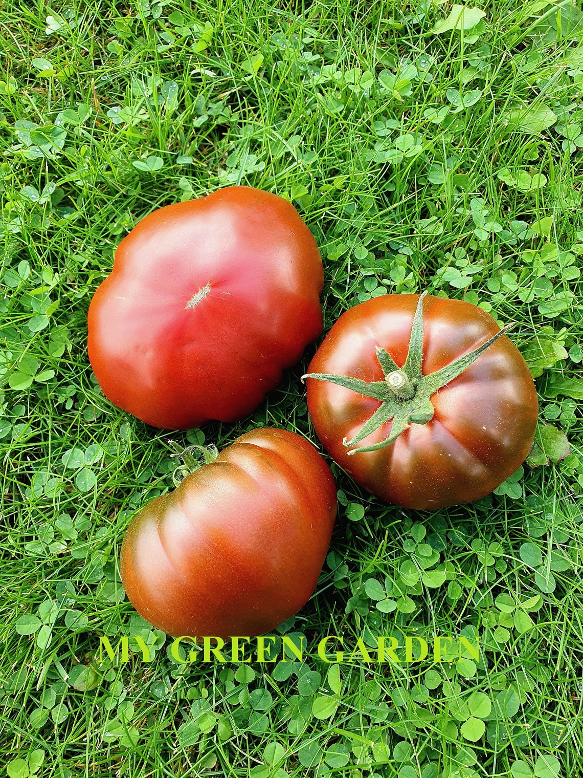 10 KUMATO Tomato Organic Seeds Kumato Kyмato Tomato Etsy
