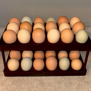 May include: A two-tiered, dark wood egg rack filled with a variety of fresh eggs. The eggs vary in color, including shades of brown, cream, and pale green. The rack holds approximately 24 eggs.