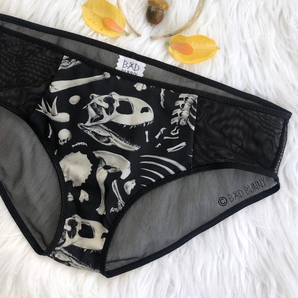 Panel Dinosaur Bones and sheer panties - underwear