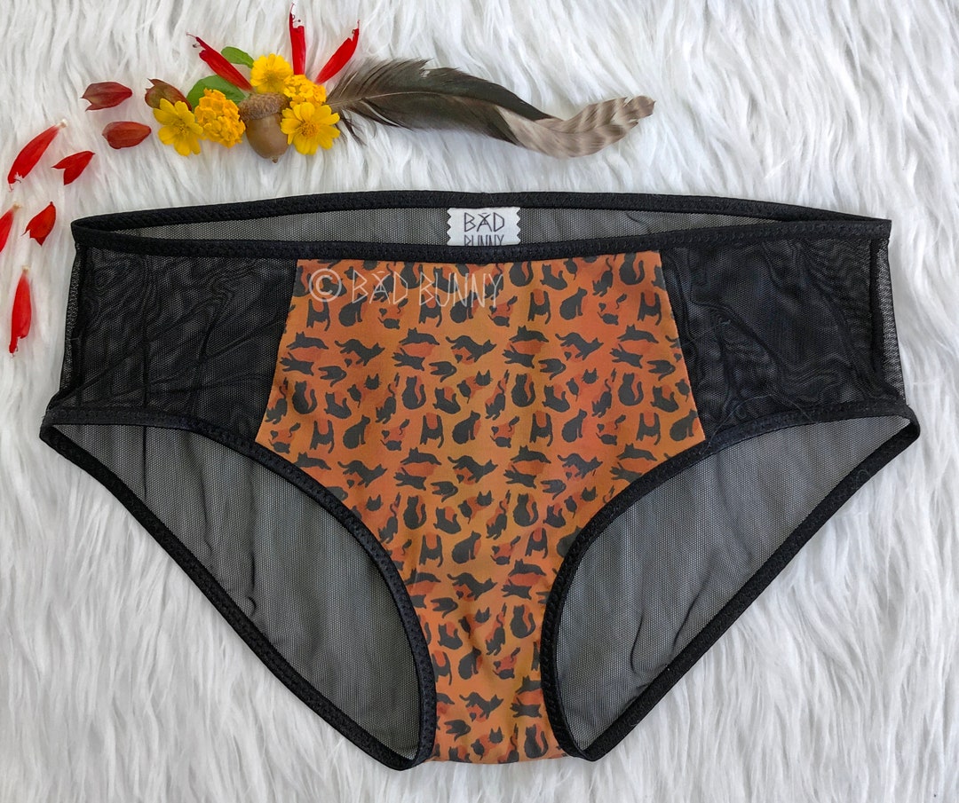 Hipster Panties in Sheer Mesh With Black Trim. Leopard Print