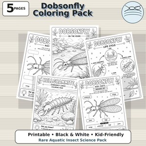 Dobsonfly Coloring Pages | Rare Aquatic Insect Science Pack for Kids (K-grade 3)