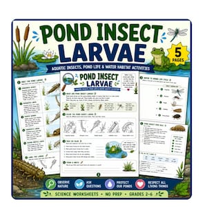 Pond Insect Larvae Worksheet Pack | Aquatic Insects, Pond Life & Water Habitat (Grade 2-6).