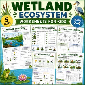Op de afbeelding: Educatieve werkbladen voor kinderen, met de tekst "WETLAND ECOSYSTEM WORKSHEETS FOR KIDS" en "GRADES 2-4". De pagina's bevatten illustraties van dieren in wetlands, habitats en voedselketens. Een kikker en een reiger zijn ook zichtbaar.