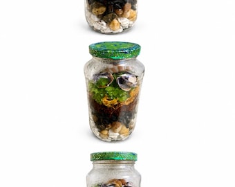 How To Make a Closed Terrarium