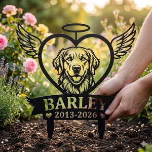 Könnte beinhalten: Schwarzer Metall-Gartenstecker mit einem Golden Retriever-Design in Herzform, Flügeln und Heiligenschein. Der Name "BARLEY" und die Daten "2013-2026" sind auf einem Banner abgebildet. Der Stecker wird in einem Garten gehalten.
