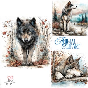 May include: Watercolor animal clipart featuring three images of wolves. One shows a wolf walking forward, another shows a wolf sitting, and the third shows a sleeping wolf. The images are set against a backdrop of trees and autumn leaves.
