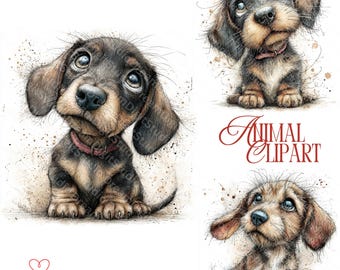 Whimsical Dachshund Dog Clipart Bundle: Cute Sausage Dog Illustrations Digital Download 42 jpg