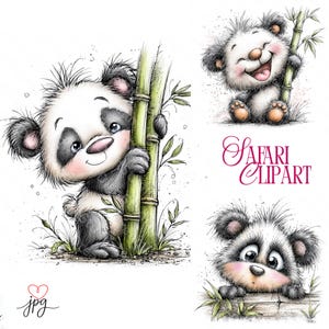 May include: Watercolor illustrations of adorable panda bears in various poses. One panda is hugging bamboo, another is holding bamboo and laughing, and a third is peeking over a wooden fence. The text "Safari Clipart" is also included.