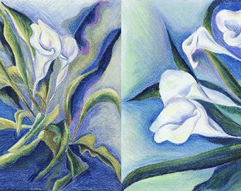 Calla Blue  (series of 3) - Oil Pastel Drawing On Paper by Snejana Videlova (PRINT or ORIGINAL available)