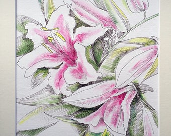 Pink Lily - original drawing or print, delicate, original, flower, floral, spring, perfect gift for any holiday