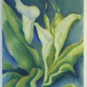 Calla Blue series of 3 Oil Pastel Drawing On Paper by Snejana Videlova PRINT or ORIGINAL available image 4