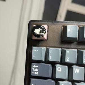 Könnte beinhalten: Eine individuelle Tastaturtaste mit einem schwarz-weißen Katzenmotiv. Die rosa Taste befindet sich auf einer grauen Tastatur. Die Tastatur hat graue Tasten mit weißer Beschriftung, einschließlich der "Caps Lock"-Taste.