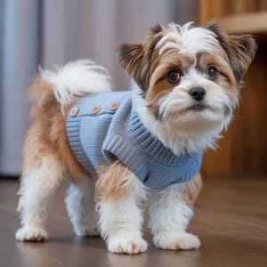 Dog Sweater Knitting Pattern PDF – Easy Pet Jumper in 12 Sizes, Cozy Winter Coat